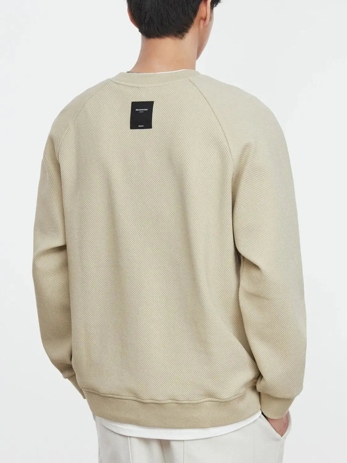 Back view of crew neck sweatshirt with contrast detail