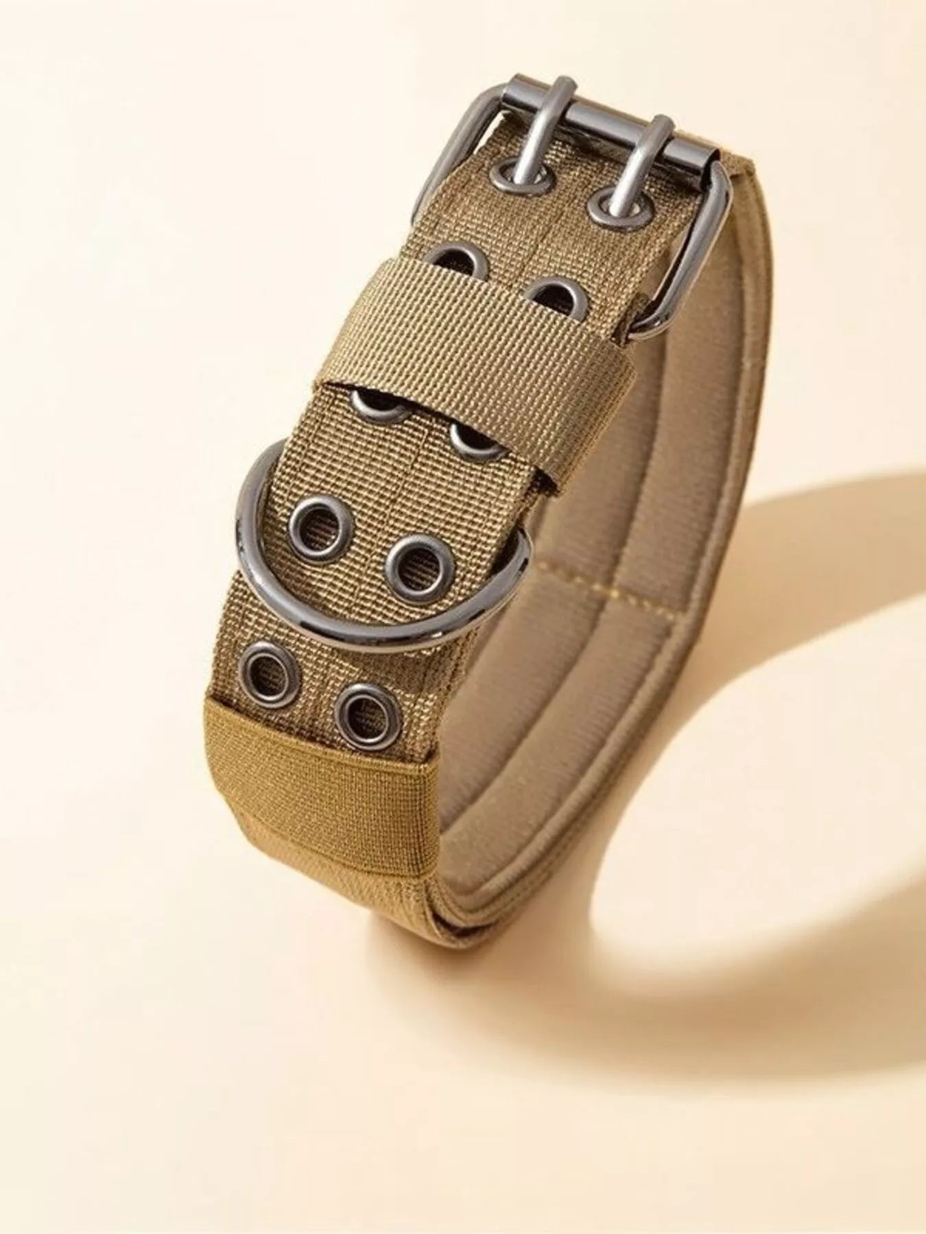 Close-up of durable design on protective pet collar