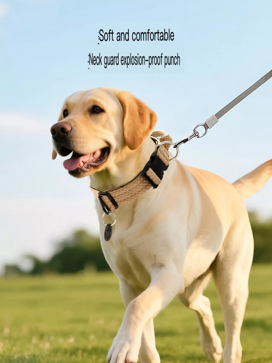 Front view of protective neck guard pet collar