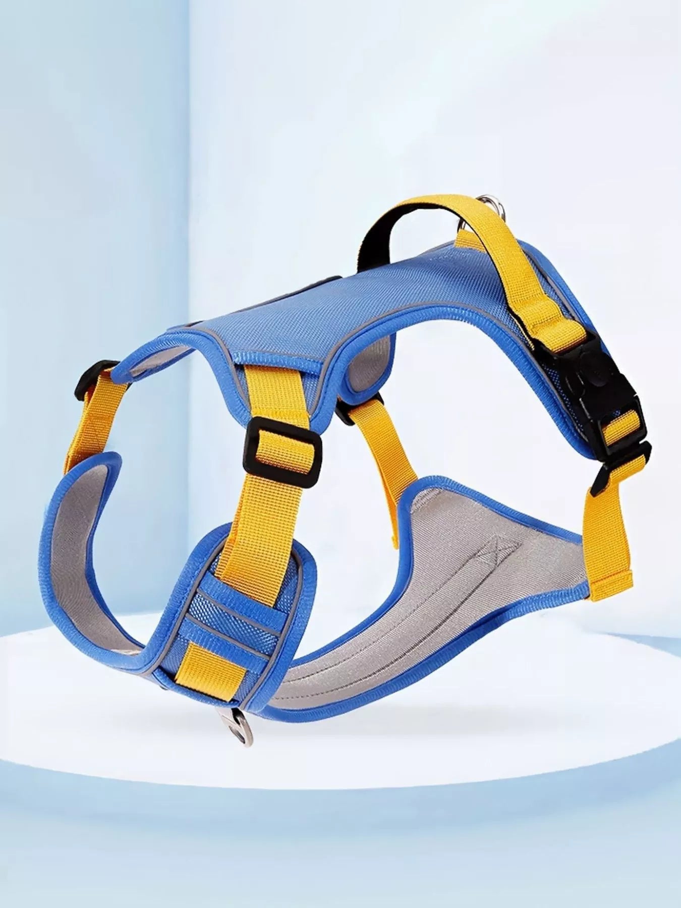 Close-up of reflective strap and adjustable buckle on pet harness
