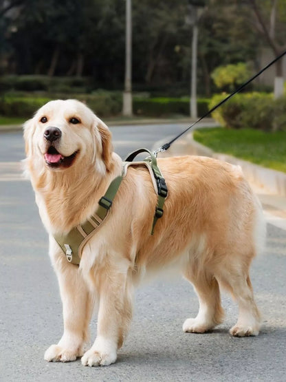 Front view of adjustable reflective pet harness
