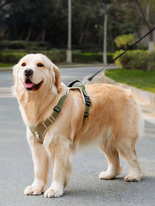 Front view of adjustable reflective pet harness