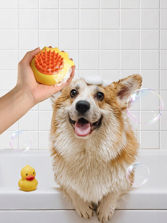 Front view of soft pet shower grooming brush